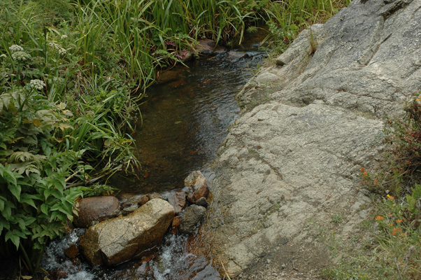 Soberanes Canyon 010.jpg